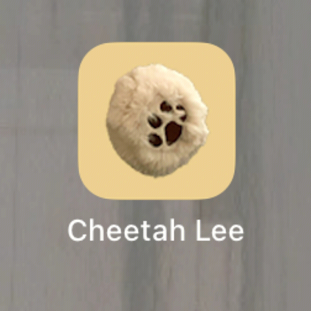 cheetah表情包图片