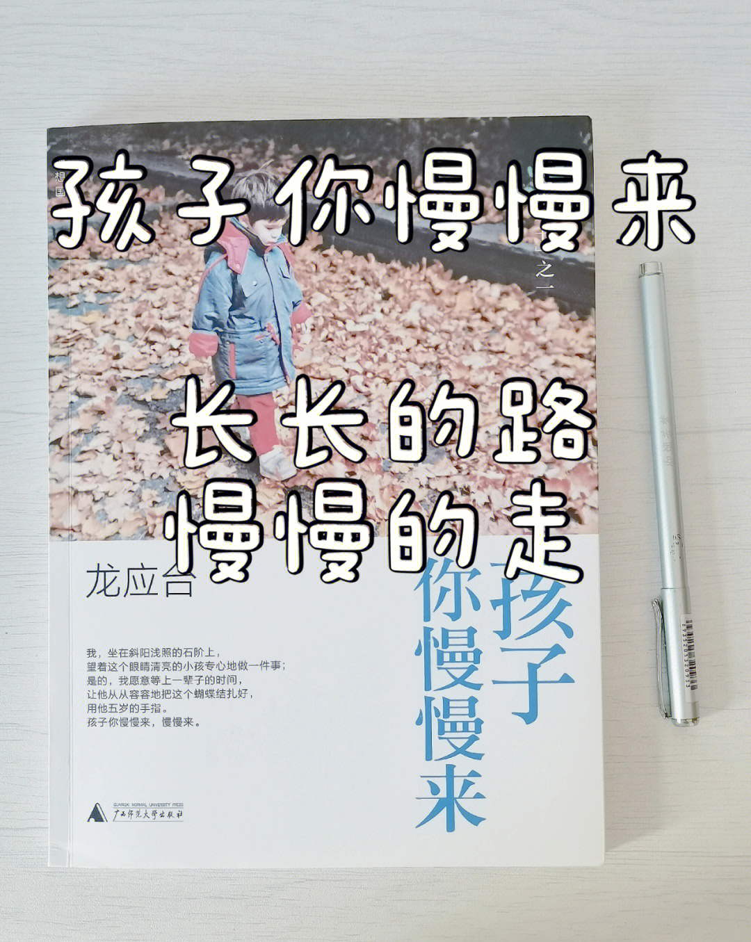 好书分享文学孩子你慢慢来龙应台