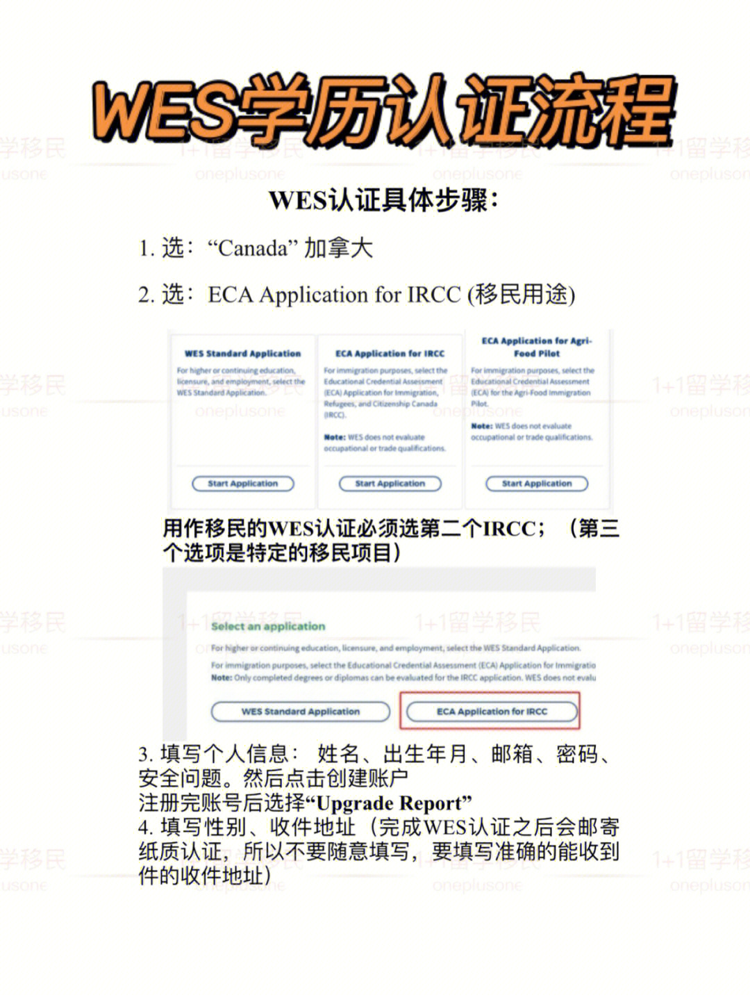 wes征图片