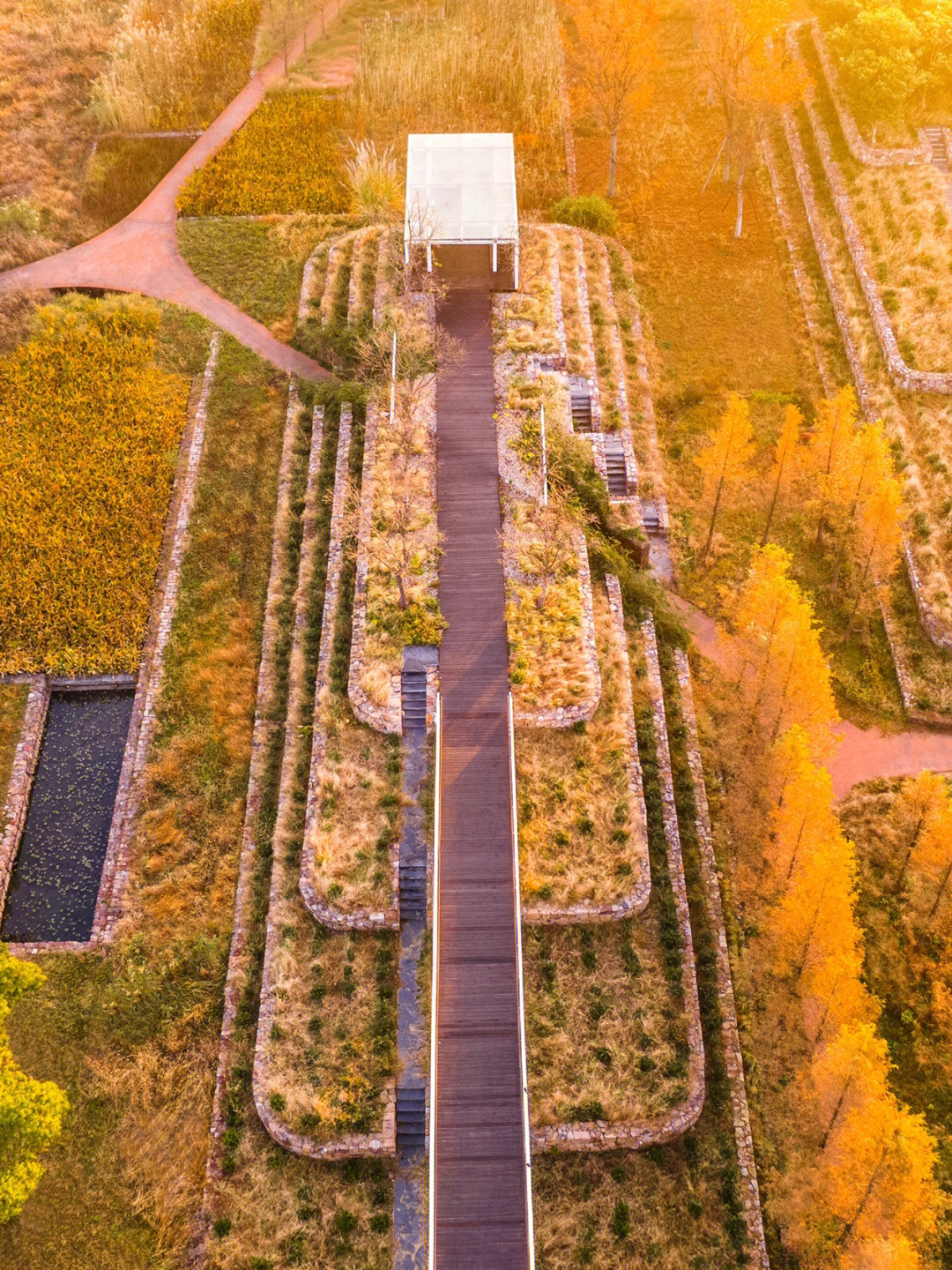 菱湖渚公园图片