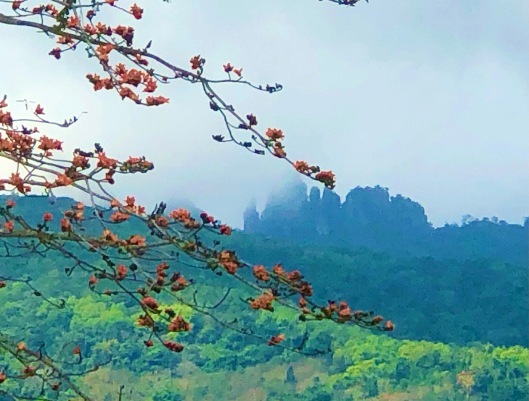 保亭八村木棉观景台图片