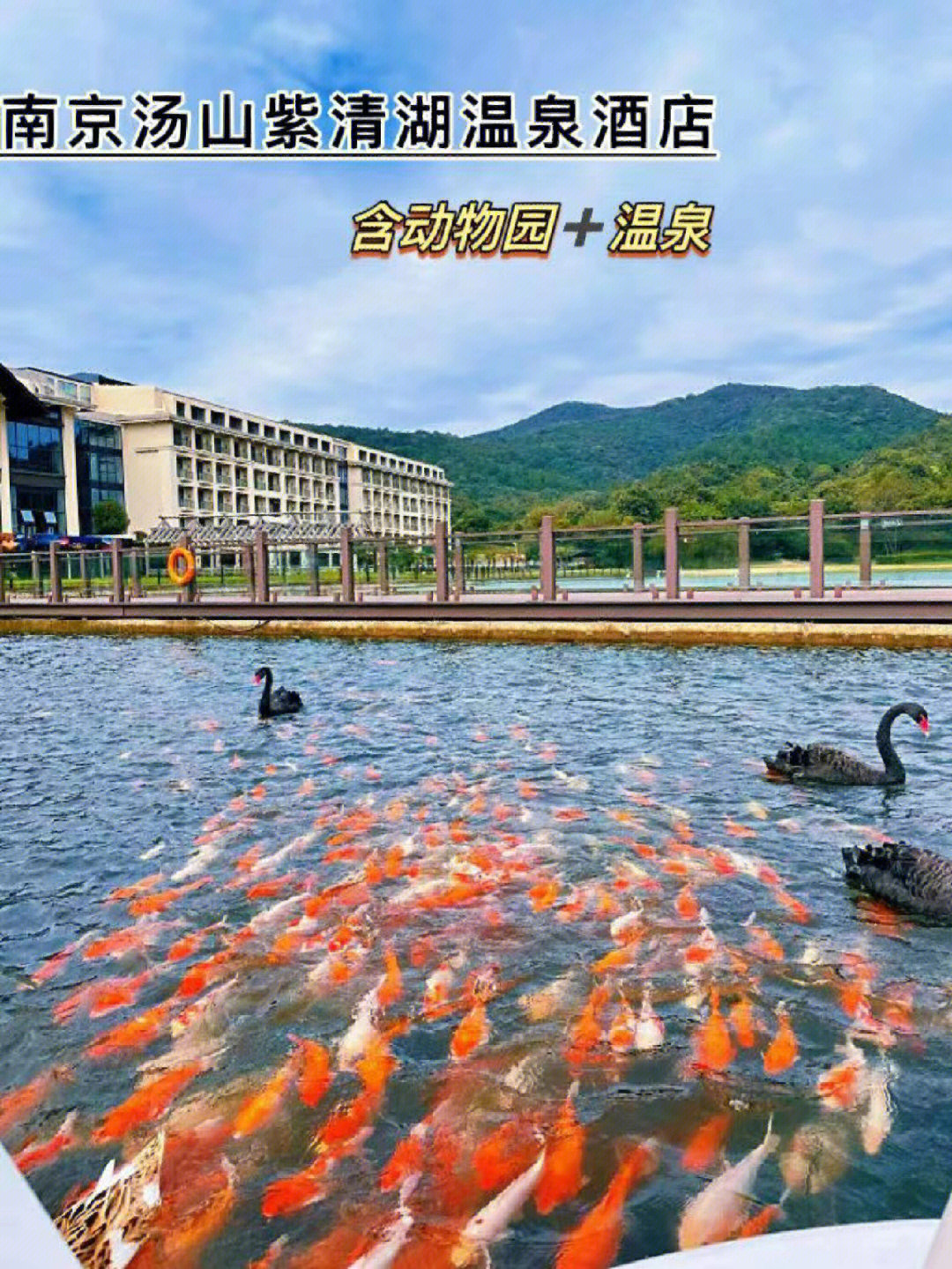 南宫南湖温泉国际酒店图片
