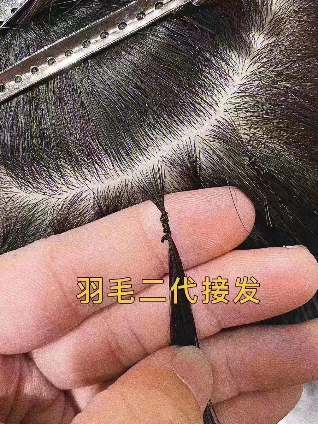 羽毛接发后的惨状图片