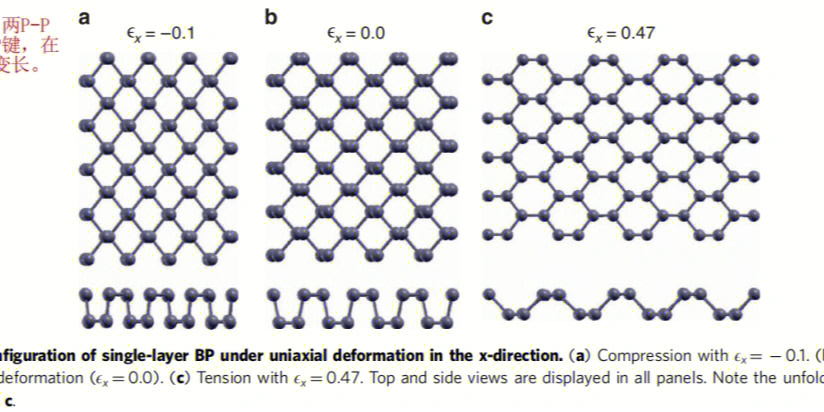 负泊松比现象是单层黑磷固有的,并源于它的褶皱结构,其中褶皱可以看作