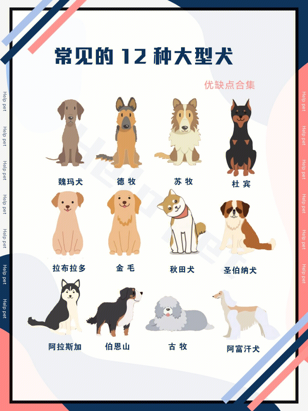 巨型犬大全 名字图片