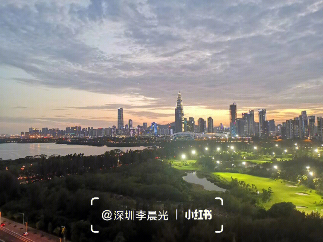 红树西岸weibo图片