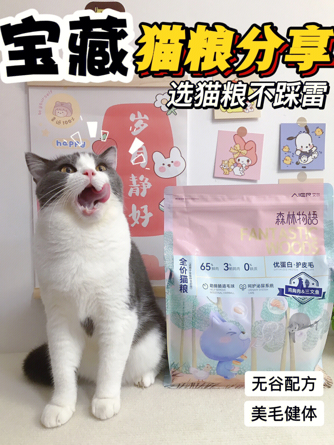 艾尔猫粮曝光图片