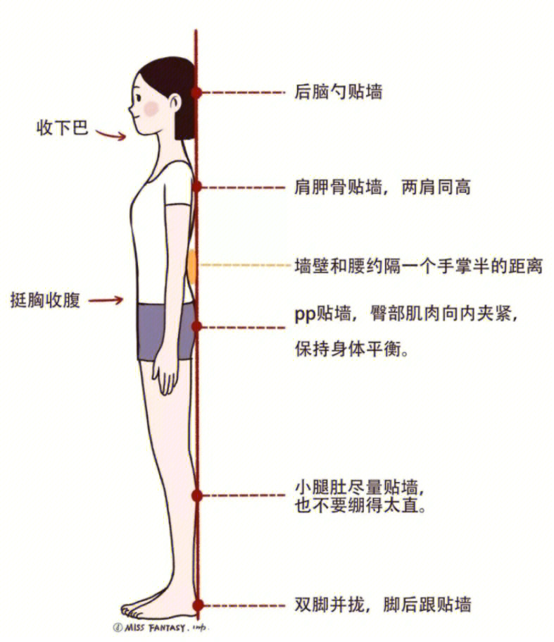 站墙根的正确方法图解图片