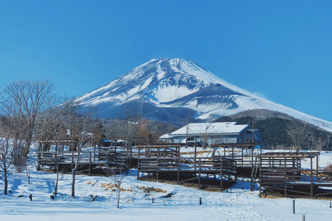 富士山下江苏卫视图片