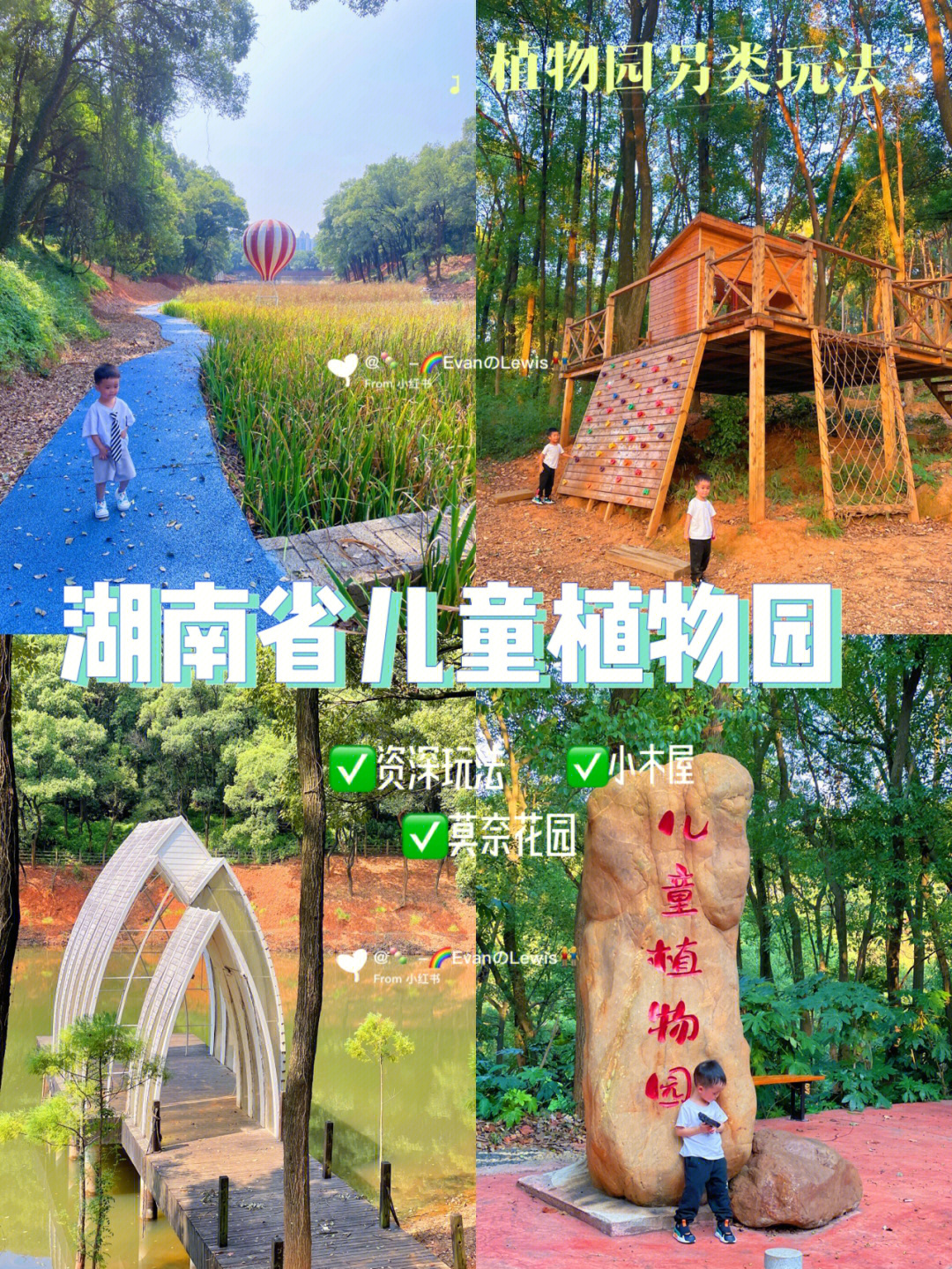 湖南省植物园儿童乐园图片
