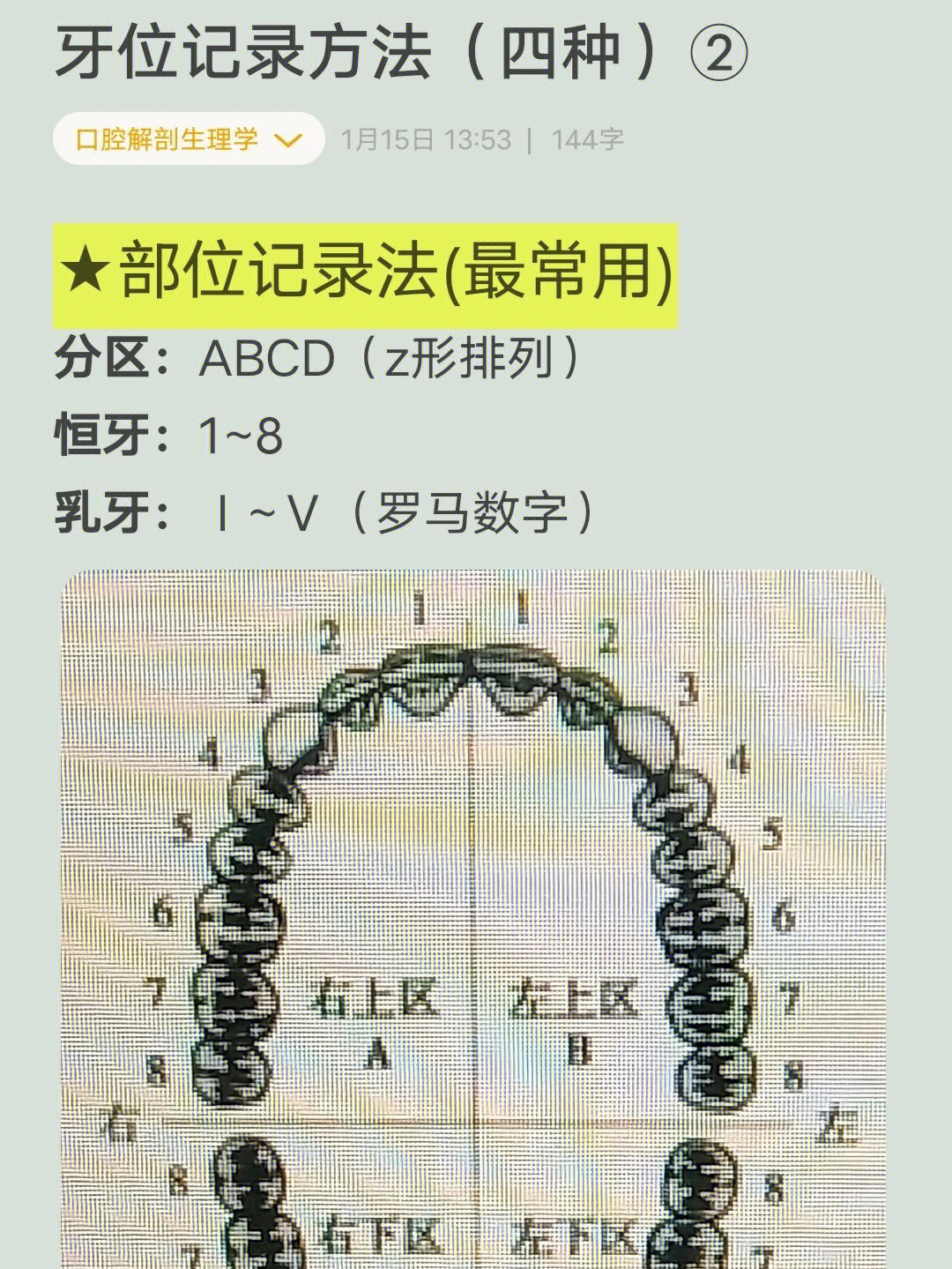 牙齿分区ABCD图片