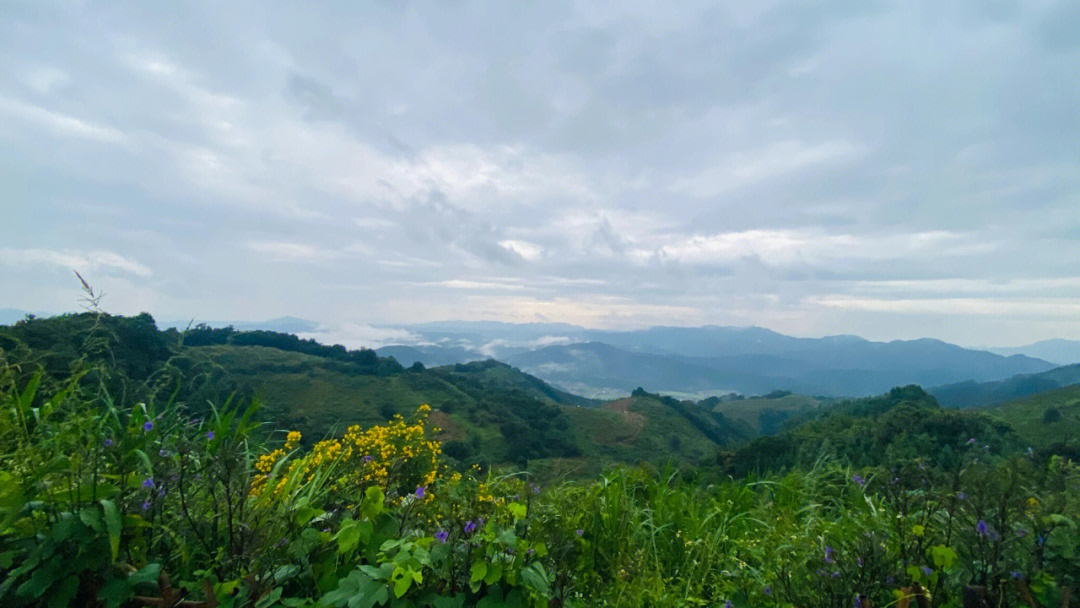 从化大岭头山图片