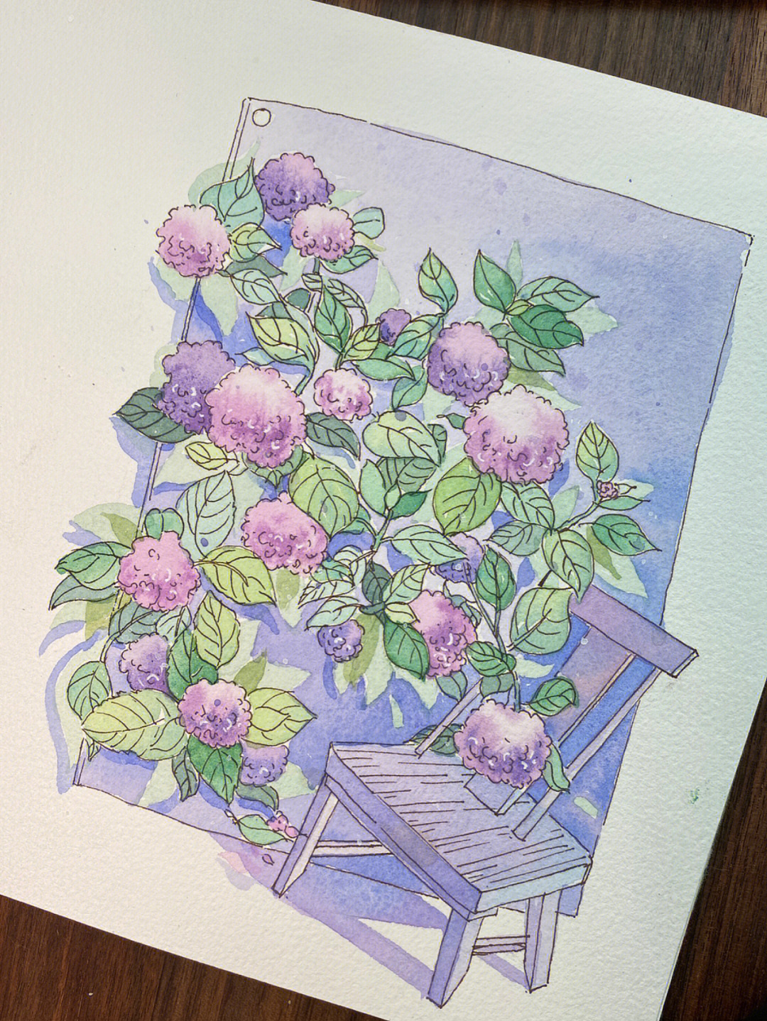 钢笔淡彩步骤图粉紫色的绣球花