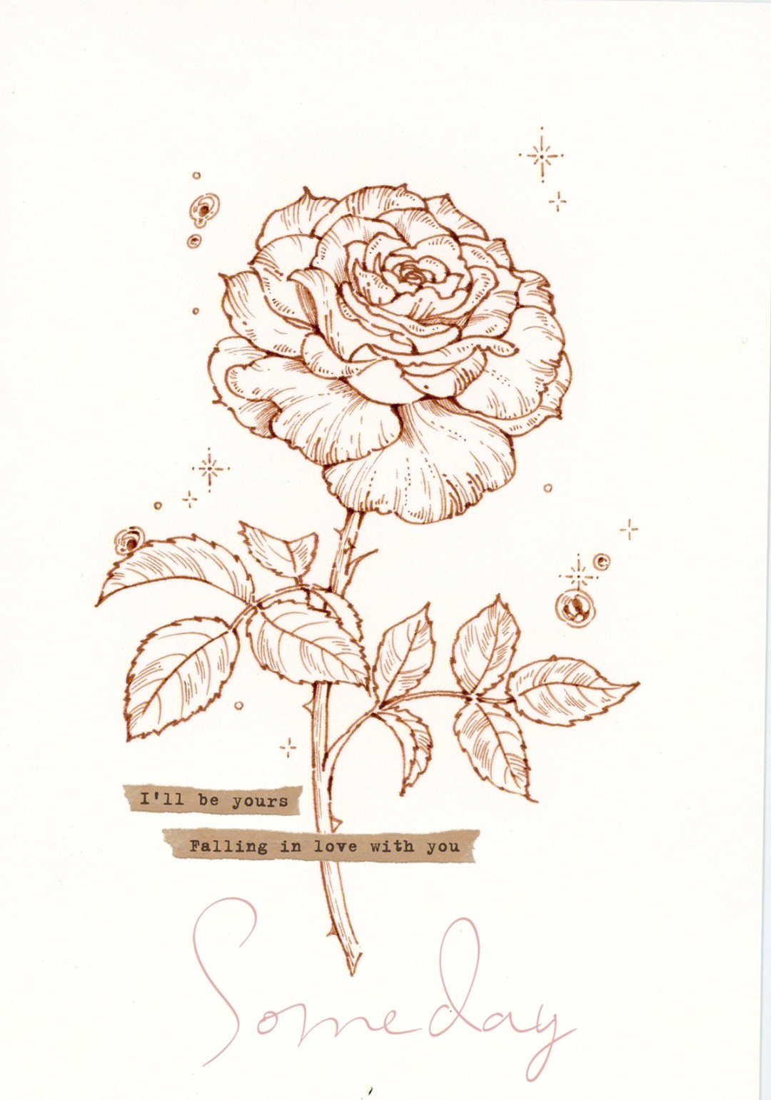 玫瑰花手绘正面图片