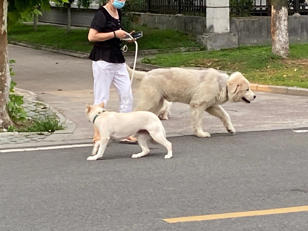 王子木吃奥利给图片图片