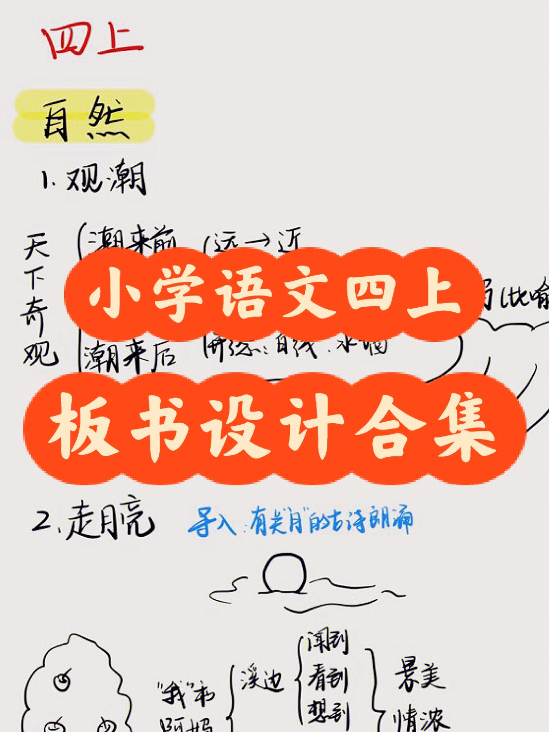 教师招聘,带星号的略读课文一般不会考,但也都呈现了一下#小学语文