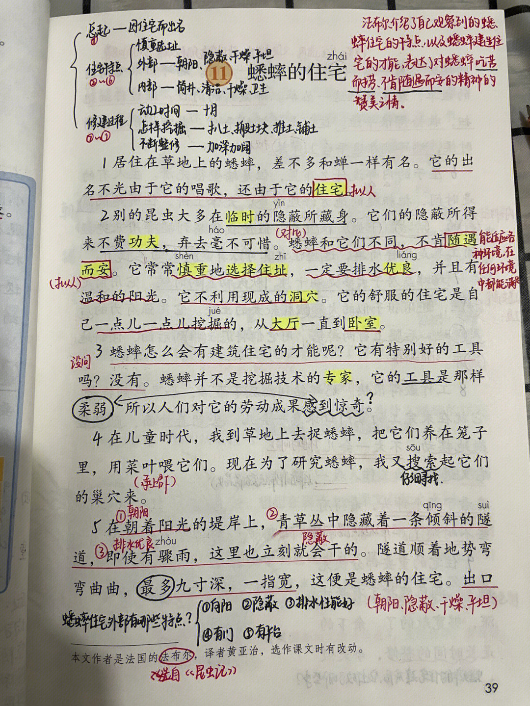 蟋蟀的住宅重点笔记图片