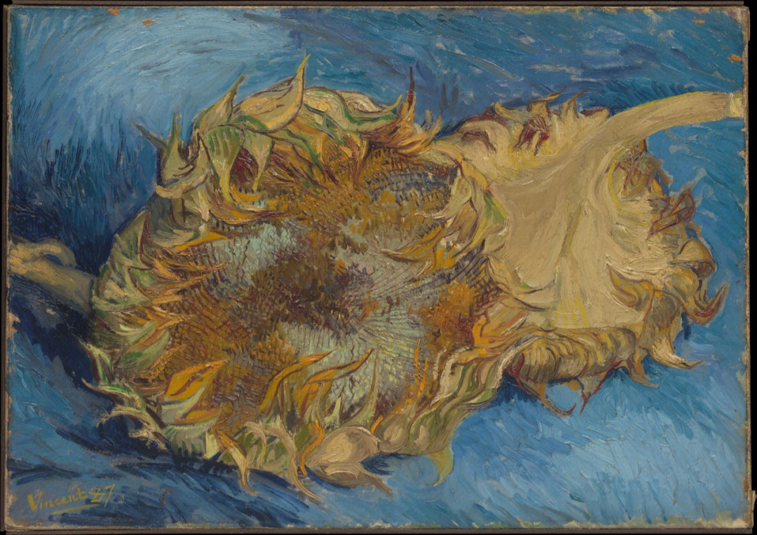 梵高(vincent willem van gogh)作品名《两朵剪下的向日葵(the