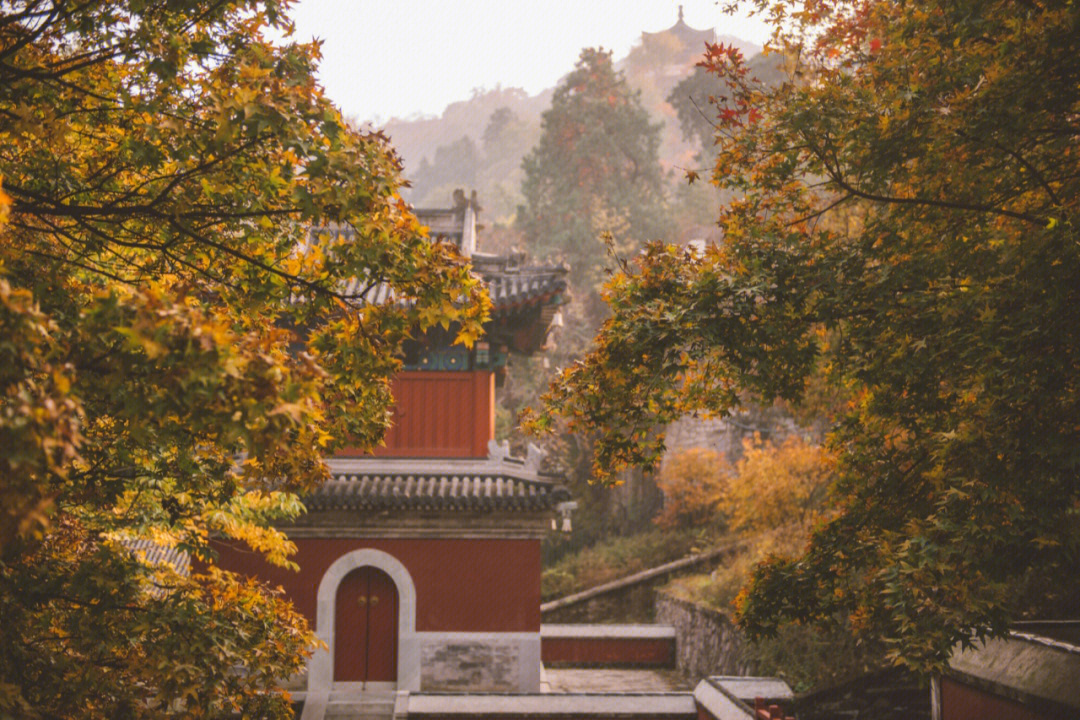 北京香山秋天图片