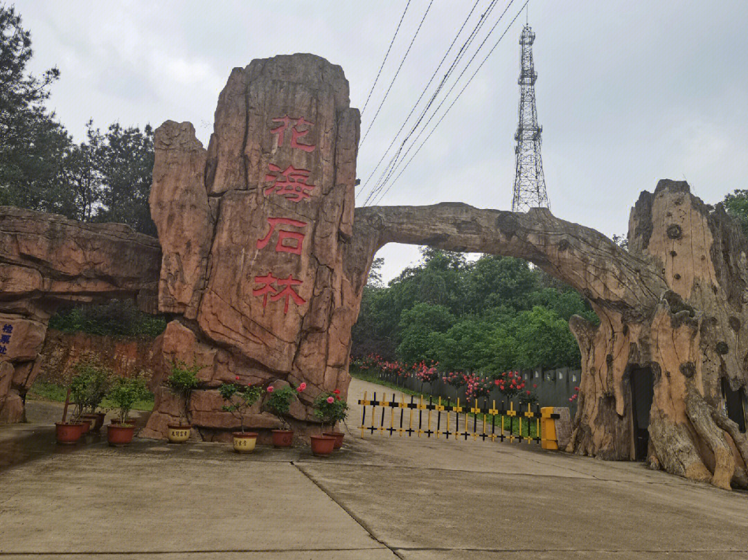 武汉花海石林风景区图片