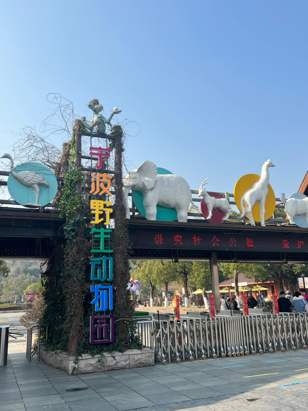 宁波雅戈尔动物园改名图片