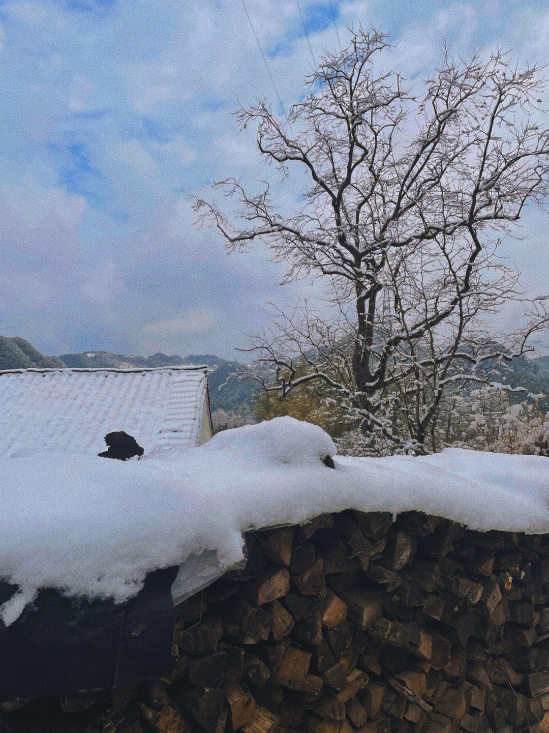 余姚四明山看雪图片