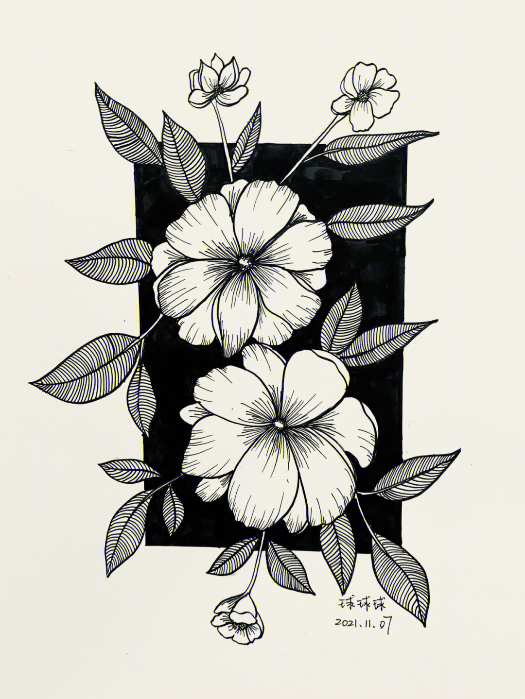 装饰画黑白花卉对称图片