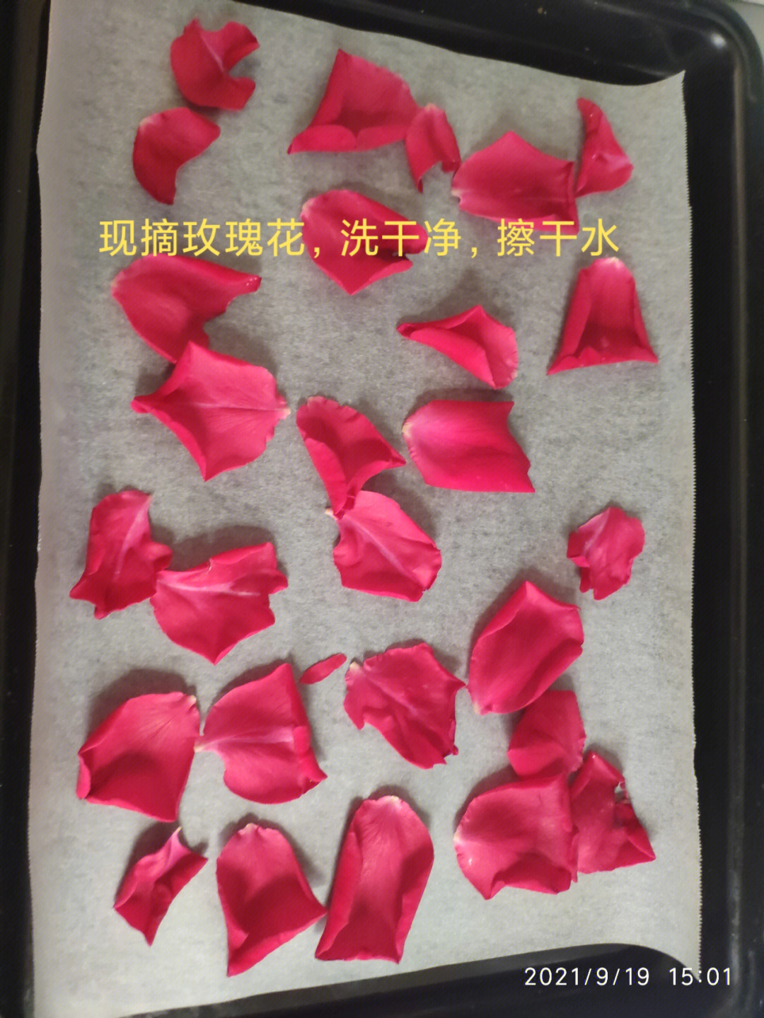 玫瑰花口红制作方法图片