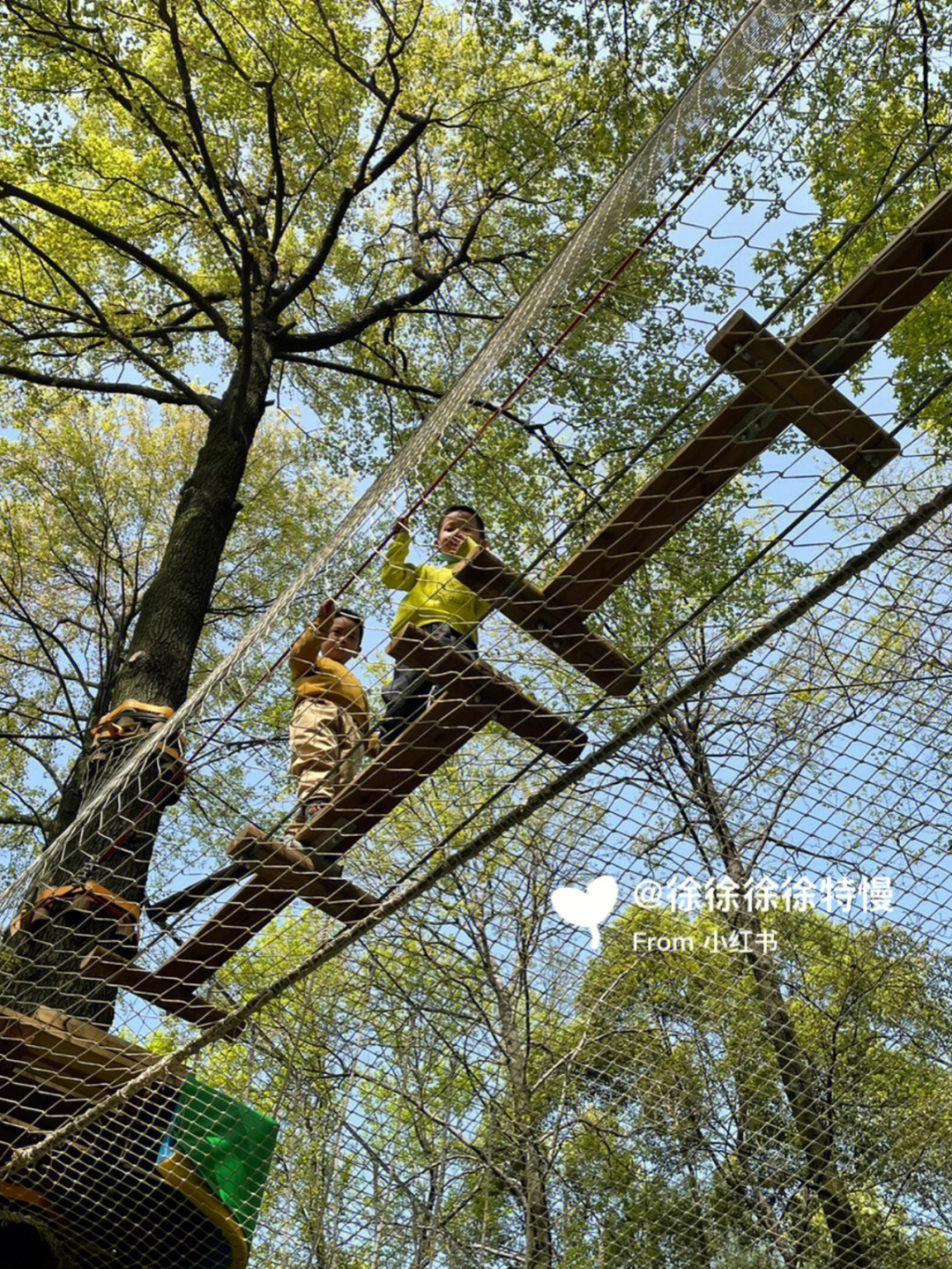 武汉东湖飞越丛林图片