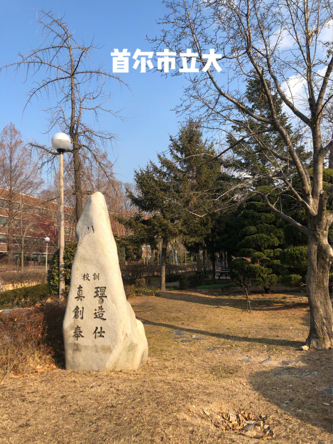 首尔市立大学语学院图片