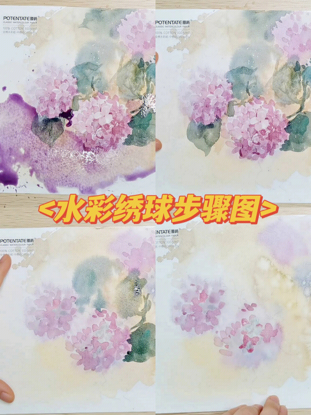 绣球花水彩画教程图解图片