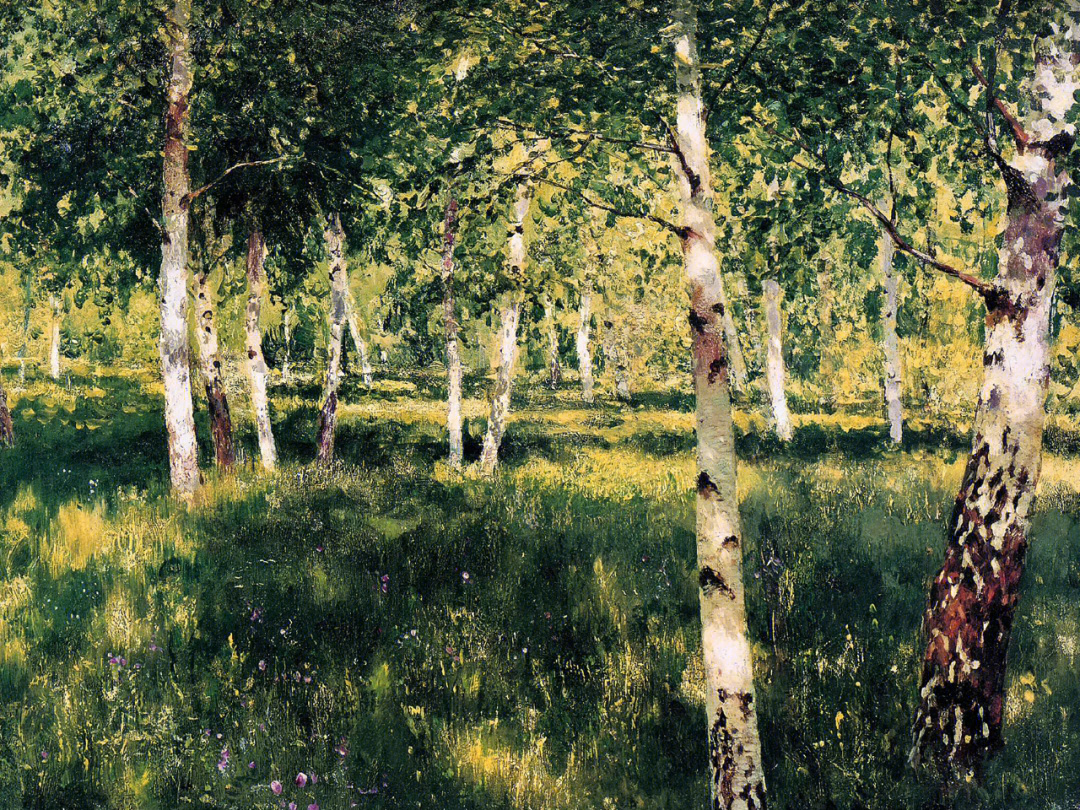 列维坦 桦树林图片