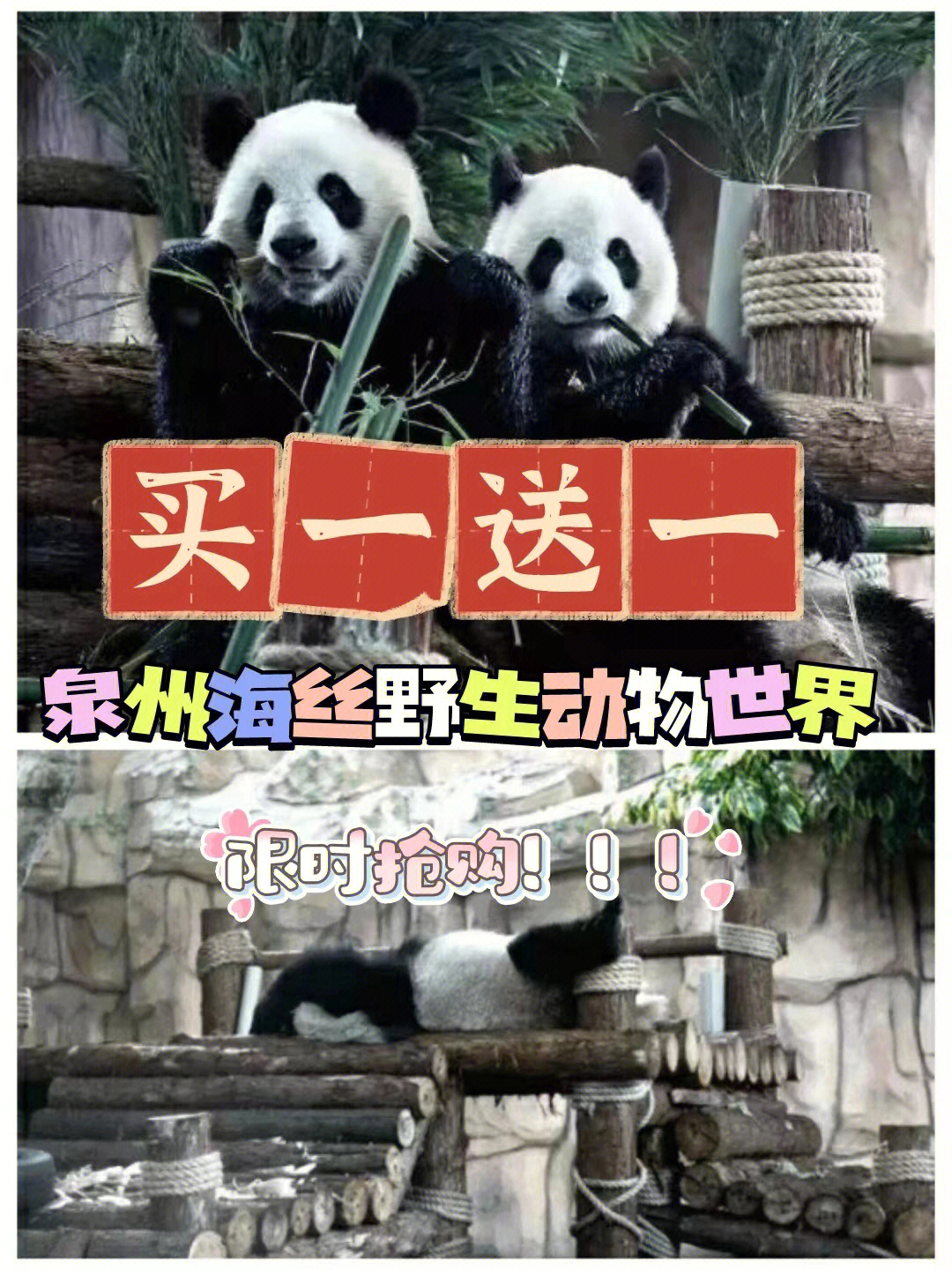 泉州海丝樱花园门票图片