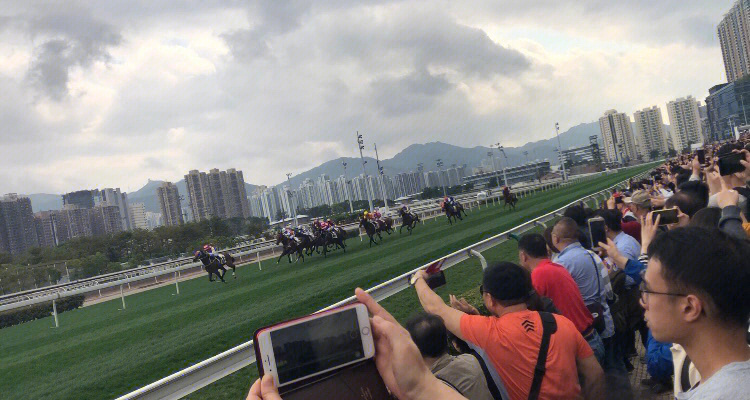 j2赛马直击 香港图片
