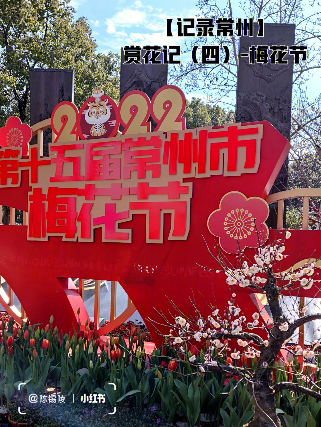 顾村公园梅花节图片