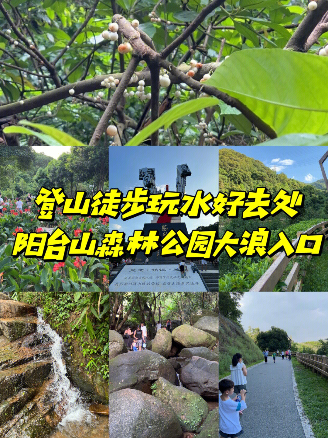 羊台山森林公园大浪图片