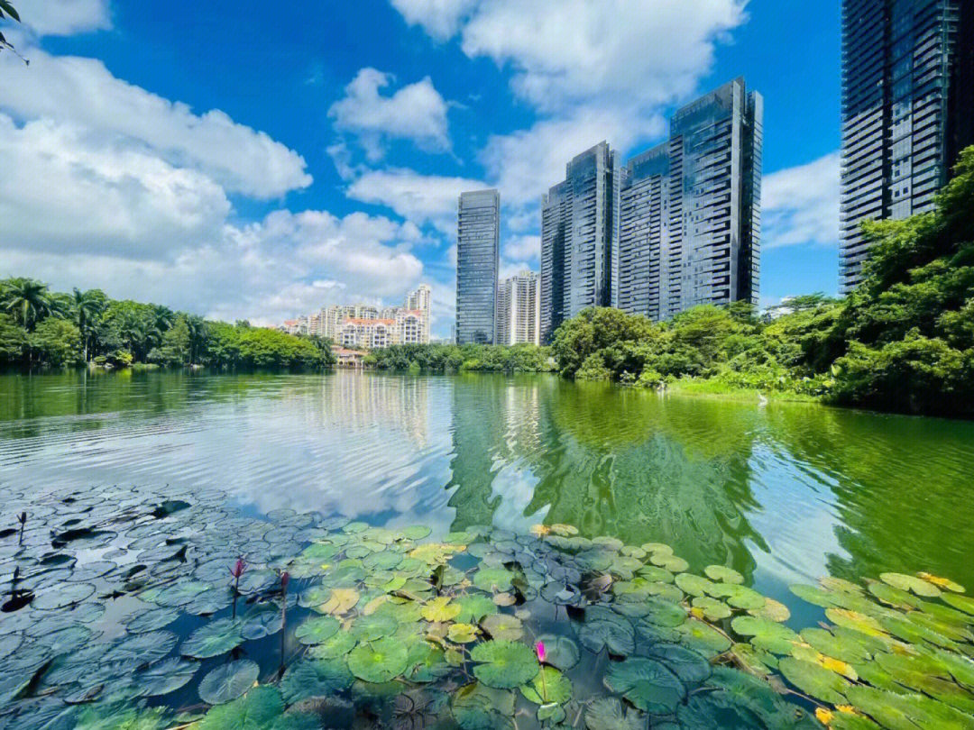 深圳天鹅湖花园三期图片