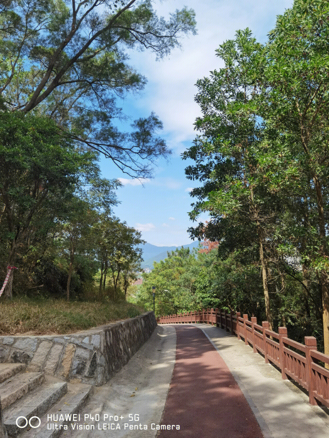 洋麻山森林公园厦门风景优美的小众景区