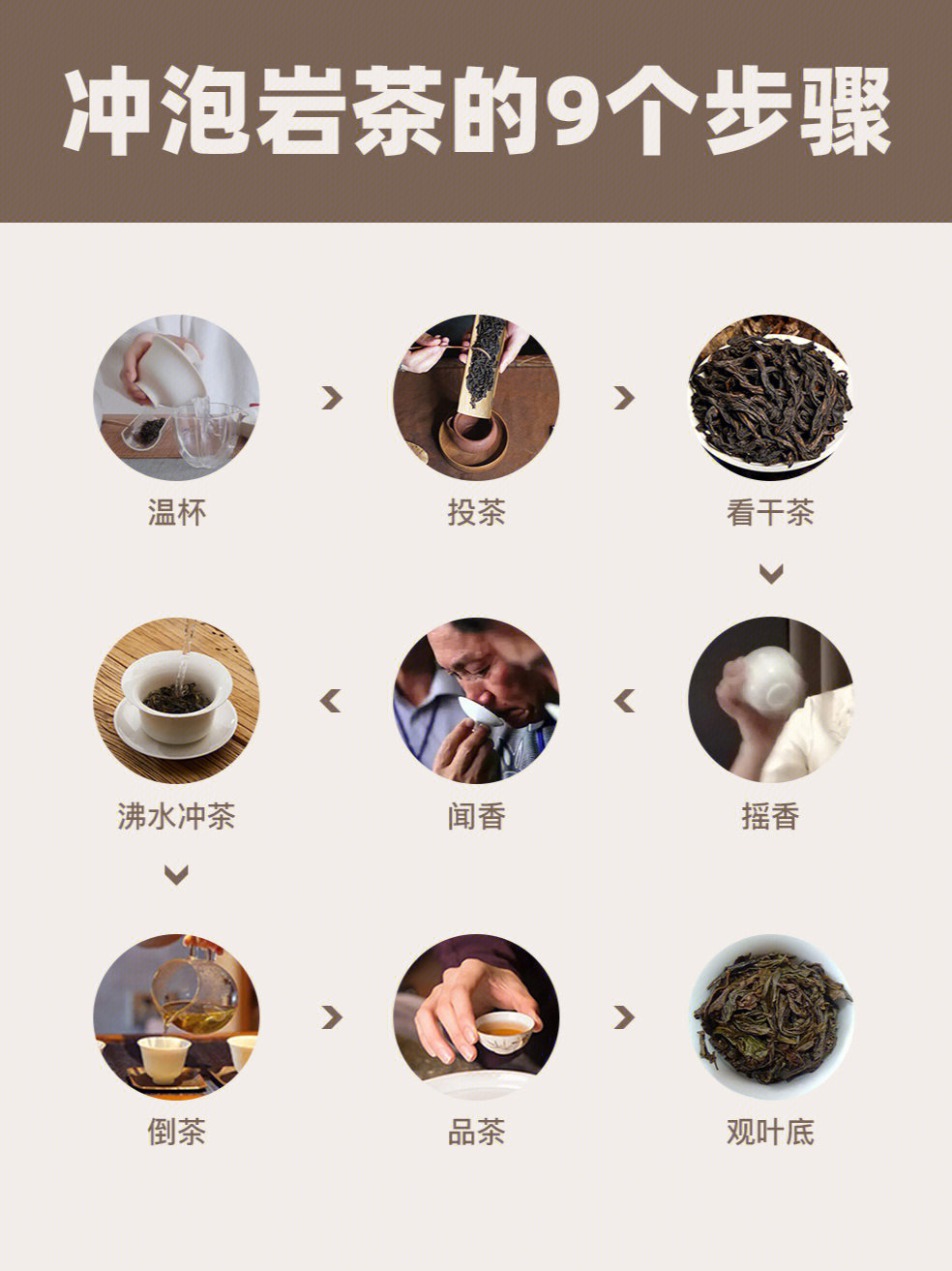 泡茶步骤冲茶图片