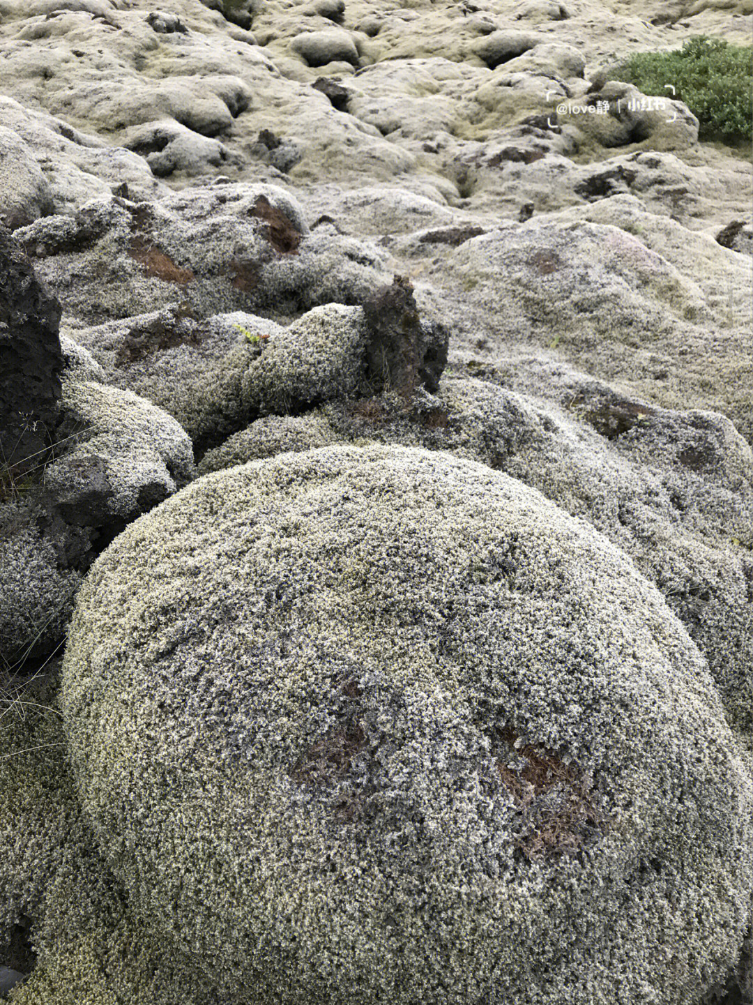 冰岛挪威游记5苔原地貌