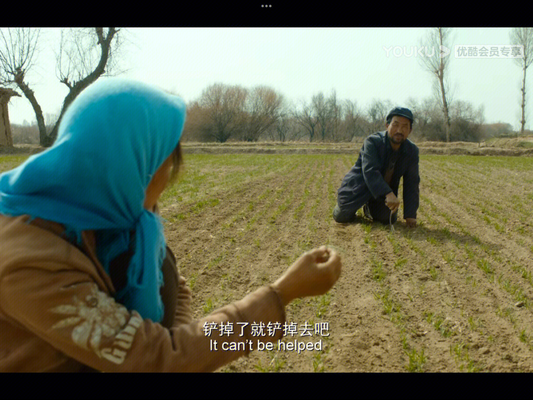 或许爱是沉重生活中的最后一棵救命稻草