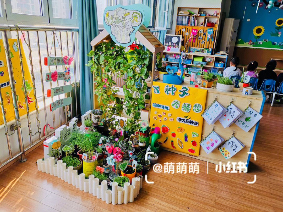 春天幼儿园植物角展示