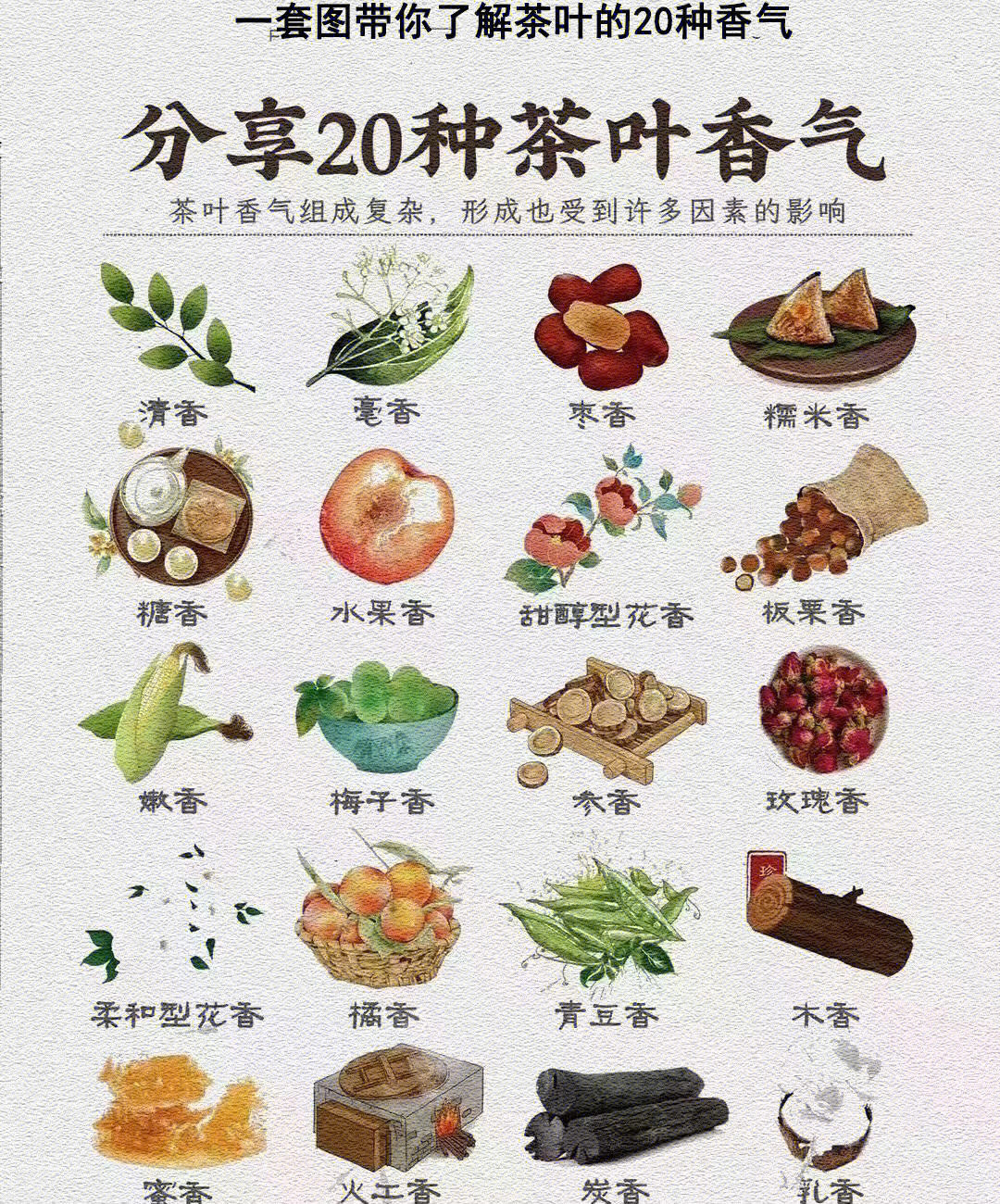 茶叶香气分解图