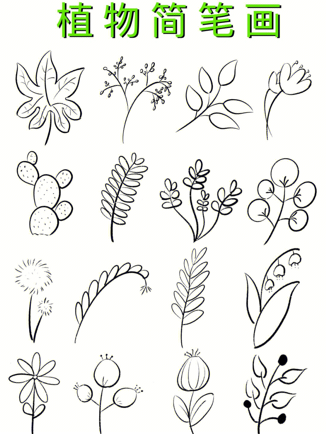 大自然的植物简笔画图片
