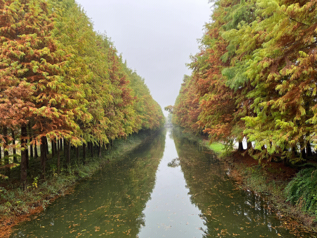 泰和县老虎山湿地公园图片