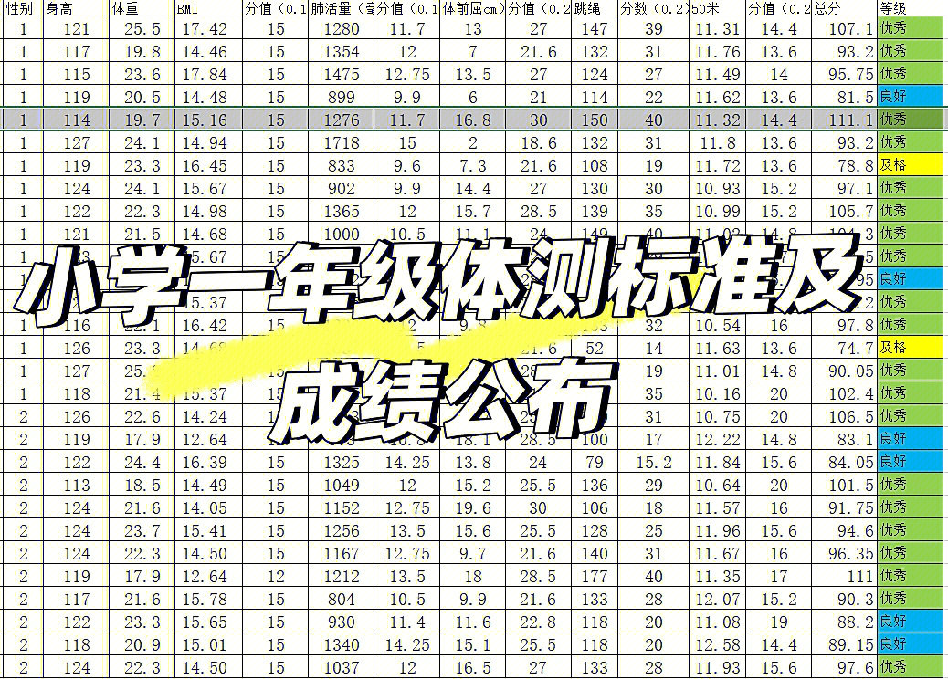 小学生100米成绩对照表图片