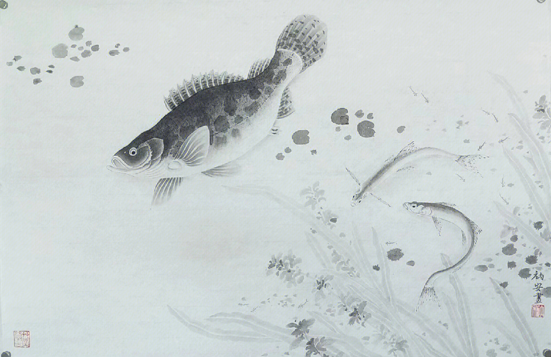 恽寿平鱼藻图图片