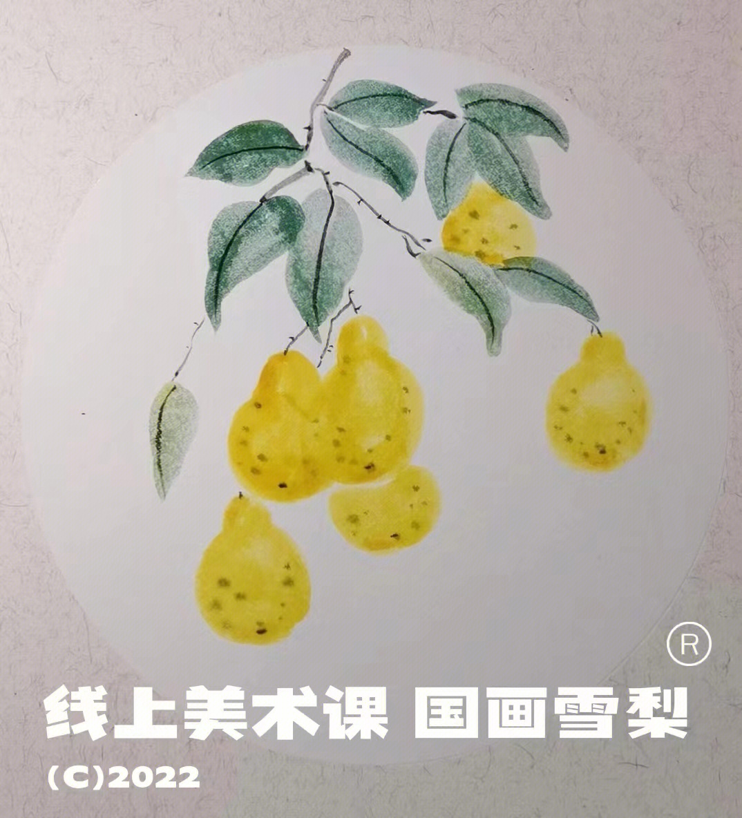 线上美术零基础也能画的国画梨分步骤教程