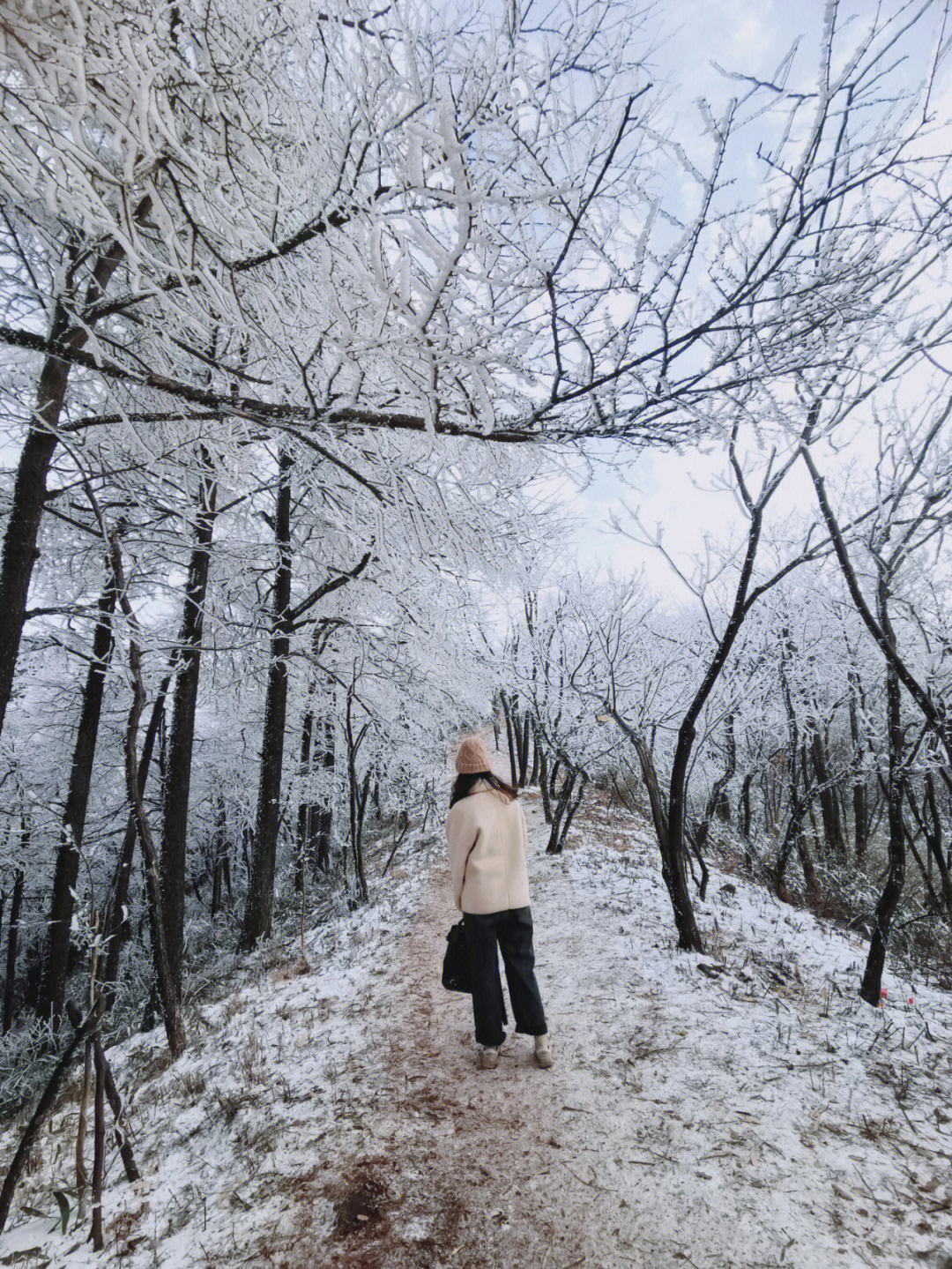 努力在杭州找雪,在杏梅尖看到了最美的雾凇