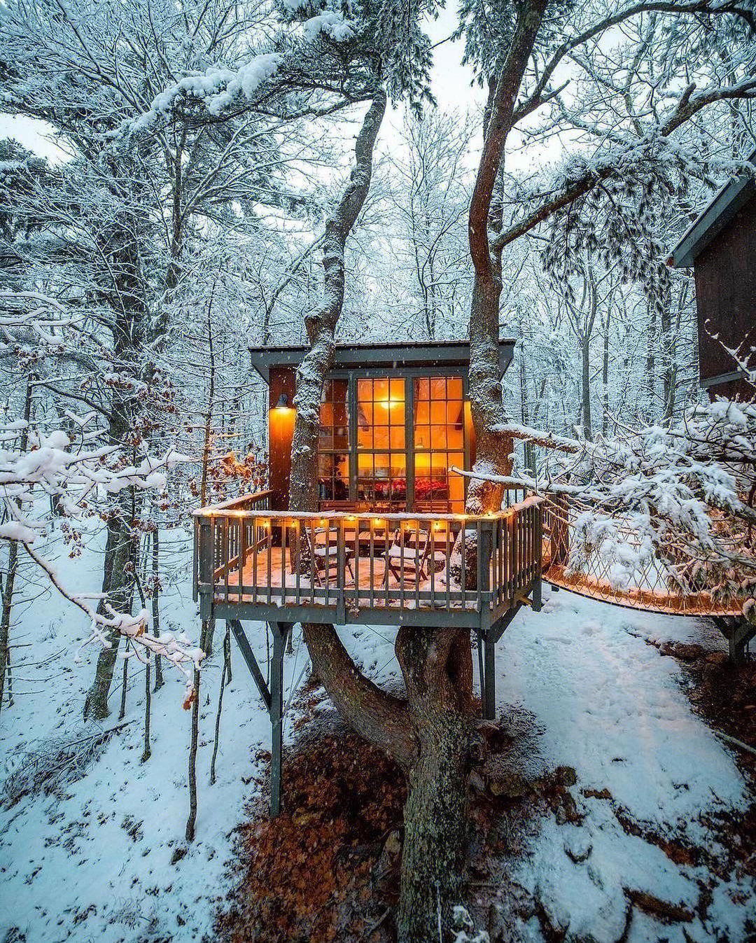 绝美的林中小屋